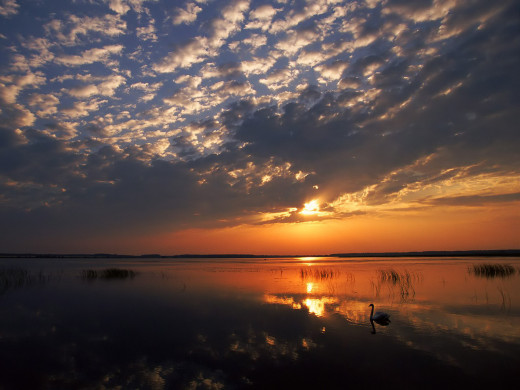 38848 (a): :1600x1200